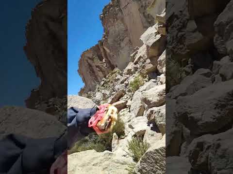 Barrancas argentina jujuyy