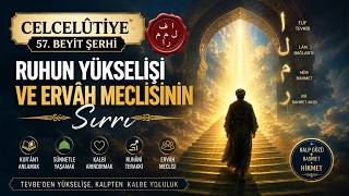 Celcelûtiye 57. Beyit Şerhi | Ruhun Yükselişi ve Ervâh Meclisinin Sırrı