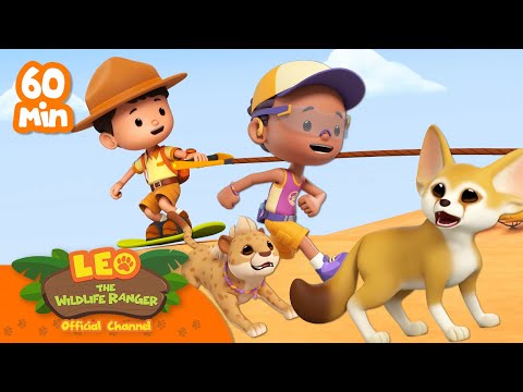 Witness21  2023 10 22