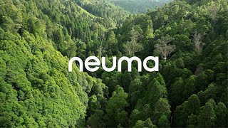 Відео відгук