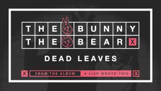 Dead Leaves Music Video