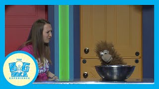 Adventures With Artie: Patience