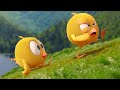 Adivina Dónde Está Chicky Dónde Está Chicky Dibujos Animados Para Niños Nuevos Episodios