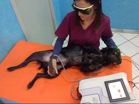Usurati articolazione dellanca Un massaggio con lernia intervertebrale