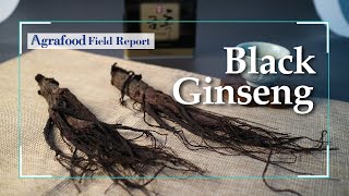 Black Ginseng that will Change the Paradigm of Ginseng Market