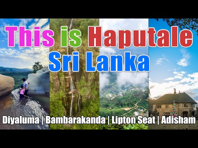 This is Haputale - Sri Lanka - Travel Vlog