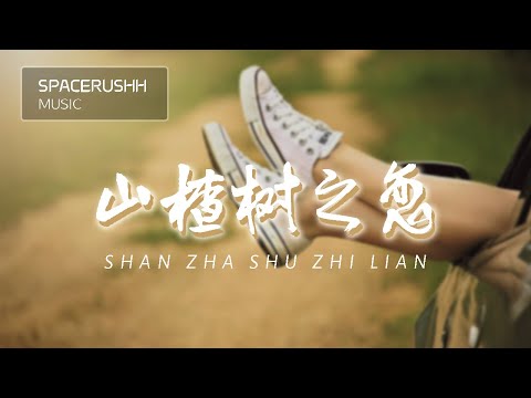 山楂树之恋 Shan Zha Shu Zhi Lian - 程佳佳 Cheng Jia Jia 拼音 [PINYIN LYRICS]