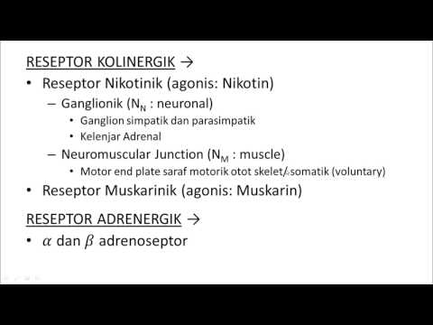 Apa yang harus dilakukan untuk meningkatkan potensi Penis kecil, atau kesulitan