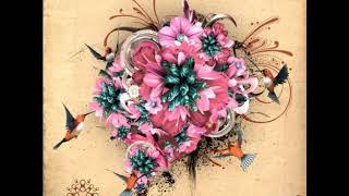 Hibernation - Colours