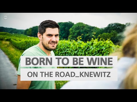 BORN TO BE WINE on the road - Zu Besuch im Weingut Knewitz