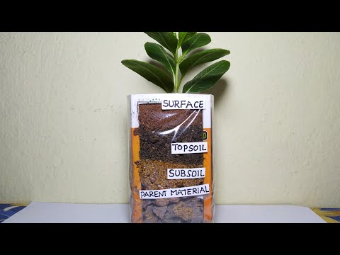 Layers of Soil TLM || science projects