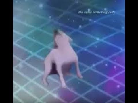 DANCE TILL YOUR DEAD 1 HOUR LOOP