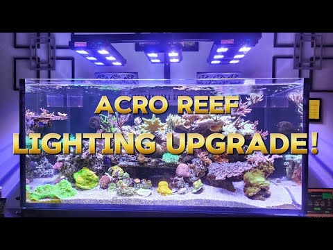 💡Reef Lighting UPGRADED: Taking my GHL Mitras LX7 to the next level!