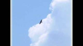 Lucio Battisti - Campati in aria