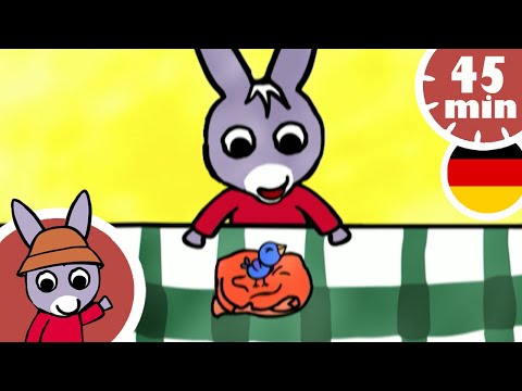 🐦 Trotro findet einen Vogel, der aus dem Nest gefallen ist! 🐦 - Neue Zusammenstellung