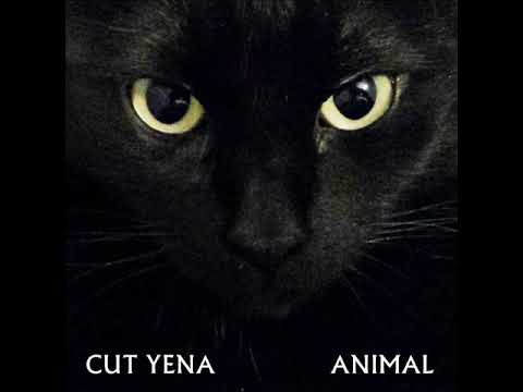 CUT YENA - Animal [Audio]