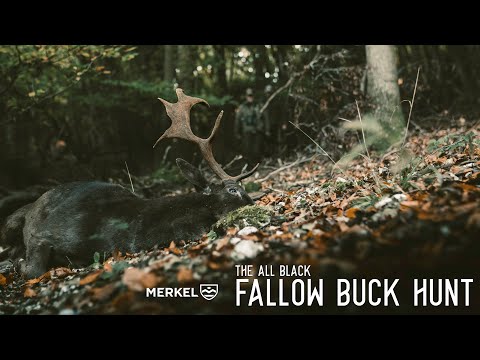 THE ALL BLACK | FALLOW BUCK HUNT