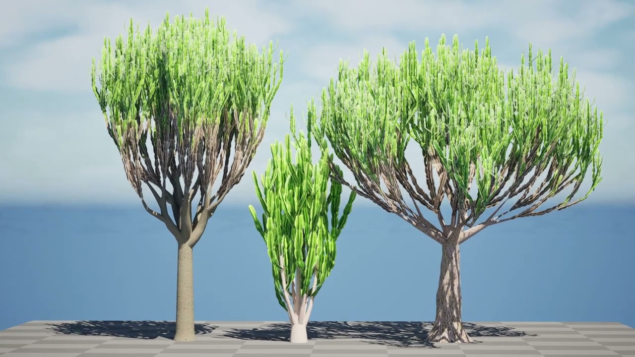 Euforbia ingens Model 3D