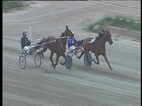 Trotto 21/05/2017 - prova di qualifica