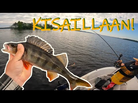 AVOVAIMO VS. KITUNEN - KUMPI VEI VOITON? DROPSHOTTIA JA PERUSJIGAUSTA