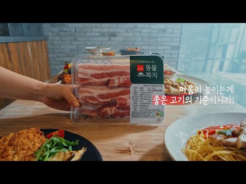 비디오 14