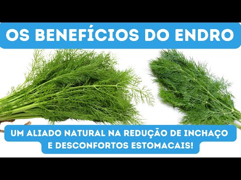 ENDRO - 12 BENEFÍCIOS EXTRAORDINÁRIOS DO ENDRO QUE VOCÊ PRECISA CONHECER