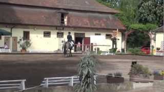 Video of Brandy Dew Drop