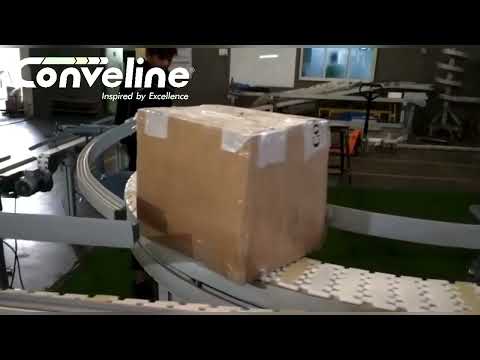Flexible Chain Conveyor