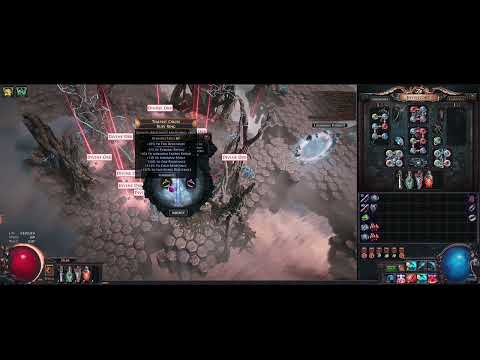 If only the Cold resistance didn't go Negative :( - 38/40 Done! Path of Exile 3.19