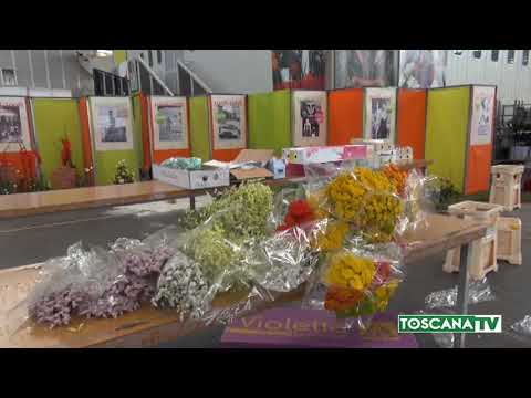 2018-06-27 PISTOIA - MERCATO FIORI PESCIA COMPIE 90 ANNI