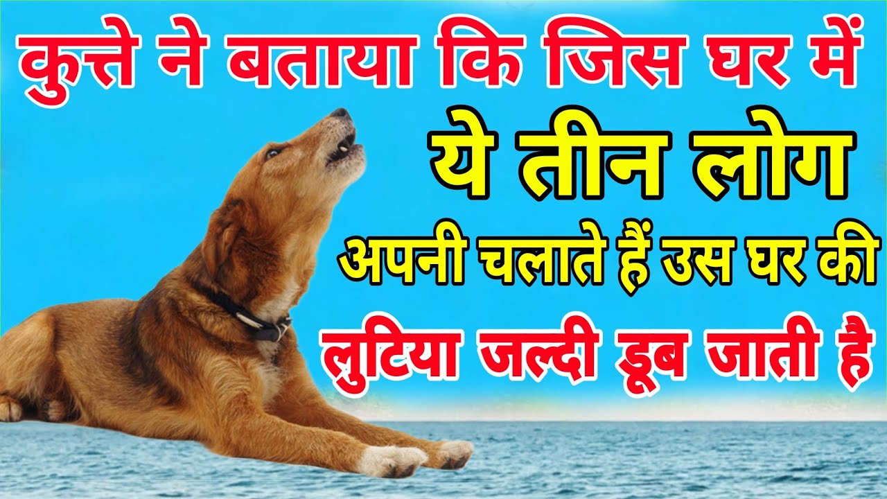 कुत्ते ने बताया कि जिस घर में ये तीन लोग अपनी चलाते हैं उस घर की लुटिया जल्दी डूब जाती है| गजब कहानी