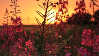 Mike Musick -Livin The Dream