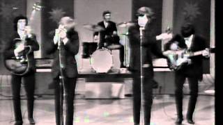 Not Fade Away-Rolling Stones with Brian Jones