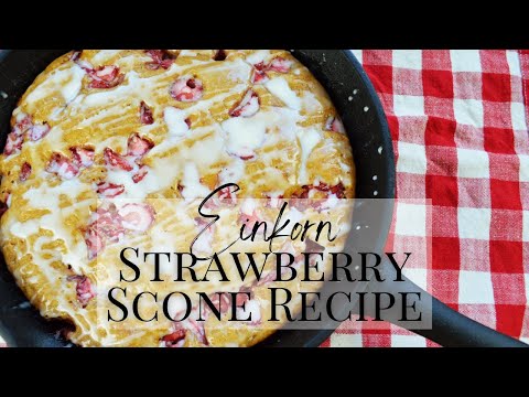 Einkorn Strawberry Scones Recipe | Iron Pan Recipe | Einkorn Sourdough Recipe | Cast Iron Skillet