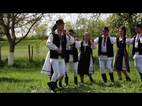 Ansamblul Ritmuri Zarandene -  Dans   - Dans padurenesc