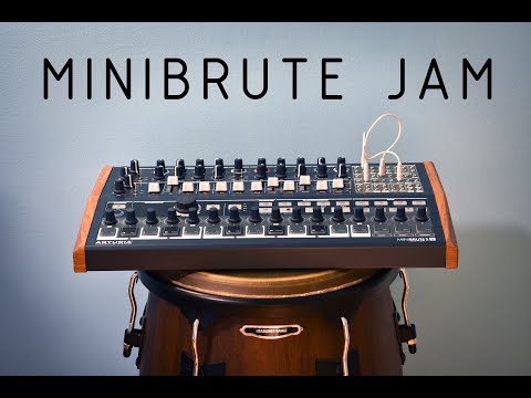 Minibrute 2S - 3 tracks + 1 Conga track - dub inspired synth jam