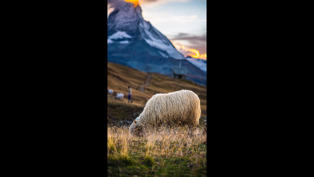 YouTube Short thumbnail