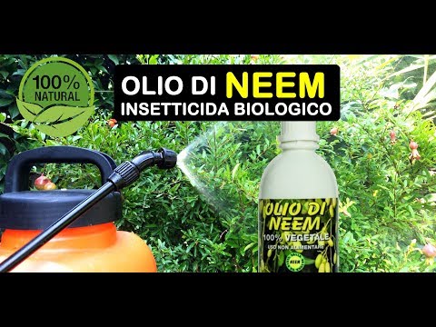 , title : 'OLIO DI NEEM INSETTICIDA BIOLOGICO'