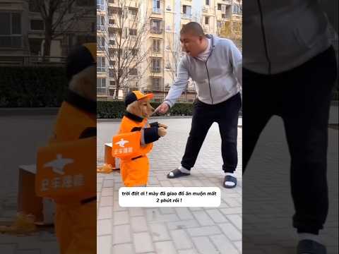 Cậu bé chó con đáng thương #shorts