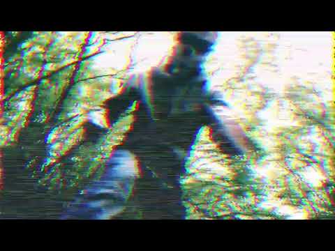 ZKZ- ZAGUBIONA BESTIA