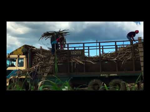 Agriculture Promotional Video