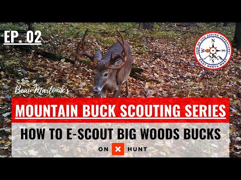 HOW TO E-SCOUT BIG WOODS BUCKS | Mountain Buck Scouting Series