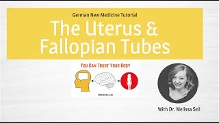 German New Medicine | Uterus & Fallopian Tubes