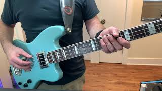Video thumbnail for Lakland Decade by Shawn Sommer