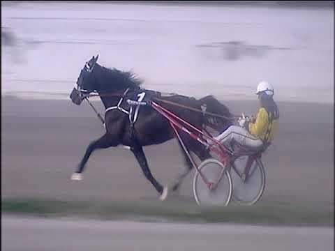 Trotto 27/12/2019 - 6ª corsa