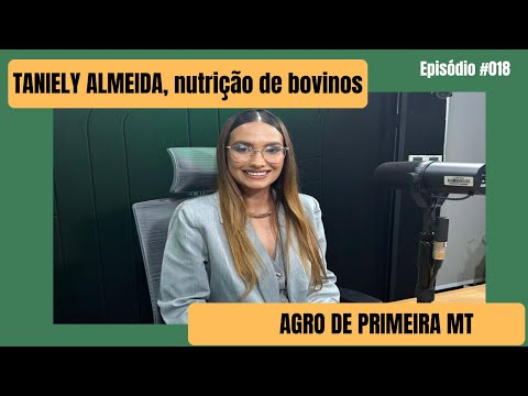 Caroço de algodão ganha espaço na pecuária e melhora desempenho do rebanho