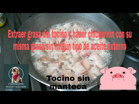 download lagu mp3 mp4 Grasa Del Tocino, download lagu Grasa Del Tocino gratis, unduh video klip Grasa Del Tocino