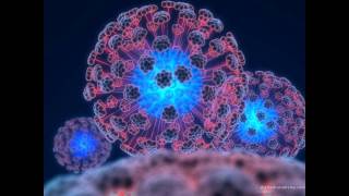 Bassrk - Super Symmetry