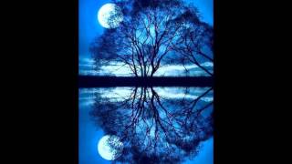 AreemAเว่ยหล่าง แนวคิดมุมกลับฉบับปรัชญา