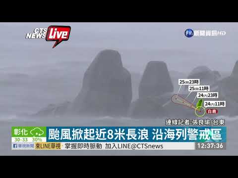 白鹿襲台東！富岡漁港掀起巨浪